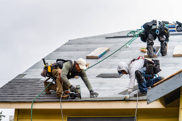 Professional Gutter Installation technician working in Steen, MN
